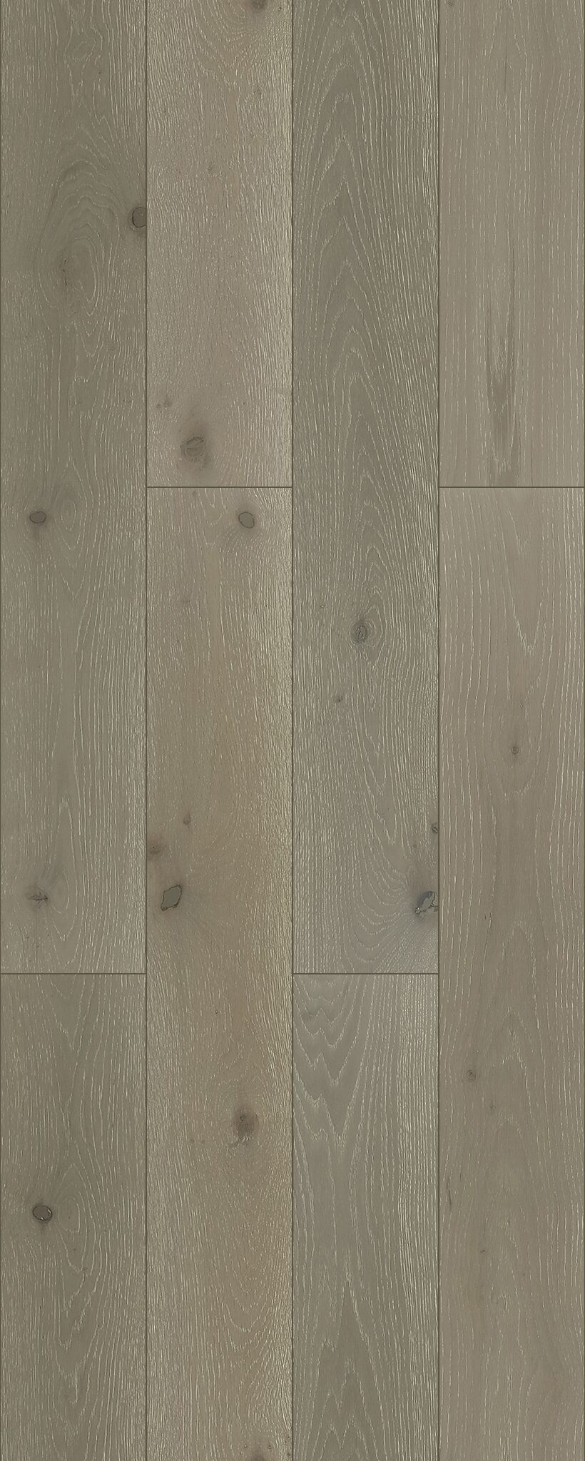 French Grey