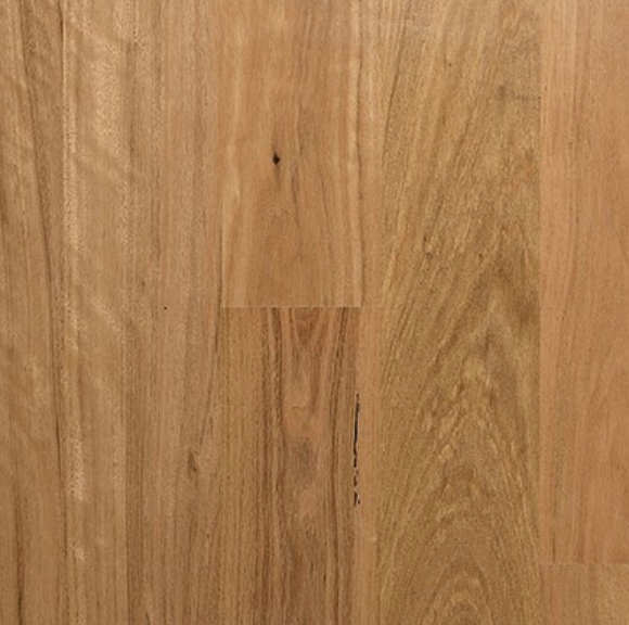 Blackbutt Engineered Flooring