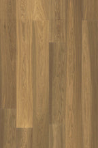 Acorn Brown