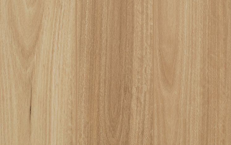 Reflections 12mm Laminate Gencore Mid Coast Blackbutt