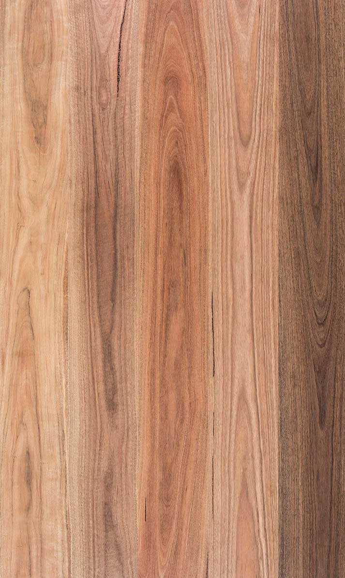 NSW Spotted Gum Timber Flooring