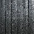 Shou Sugi Ban