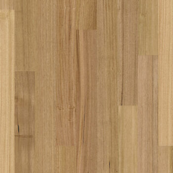 Tasmanian Oak