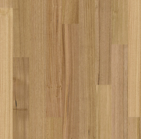 Tasmanian Oak