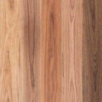 NSW Spotted Gum Timber Flooring