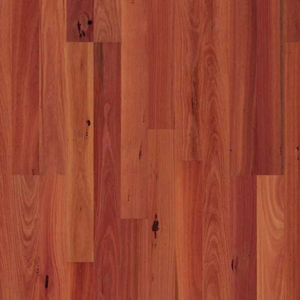 Sydney Blue Gum Solid Timber Flooring