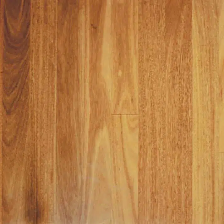 Tallowwood Solid Timber Flooring