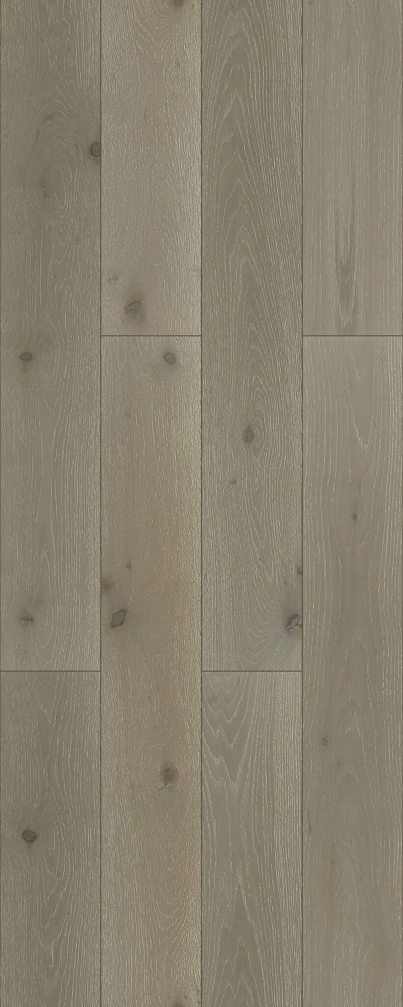 French Grey
