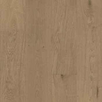 Beige Ash