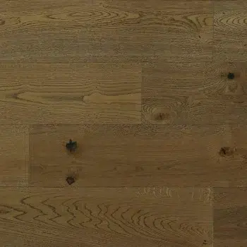 Hugo